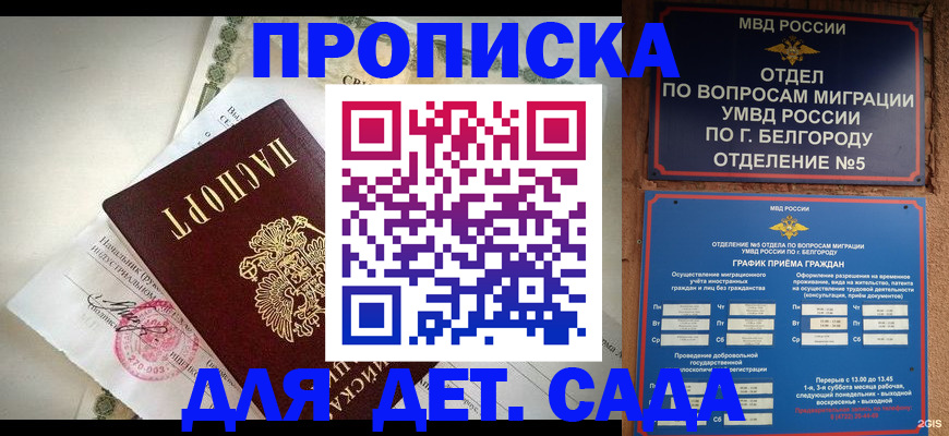 временная регистрация адрес в Курске
